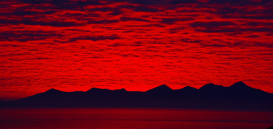 Anne Martin Anne Martin